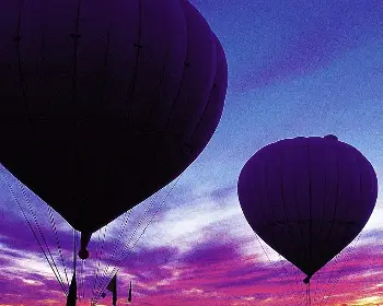 횡성 한우축제_16