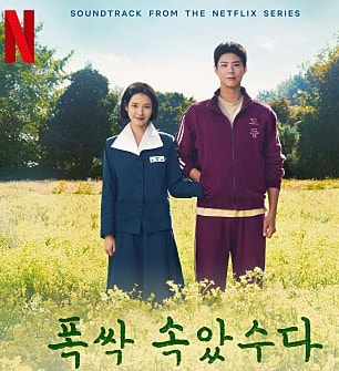 폭싹속았수다 관련 사진