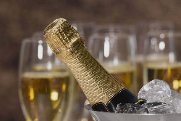 조개구이 &amp; 까바(Cava) 와인 페어링｜바다의 순수함과 지중해 버블의 입맞춤