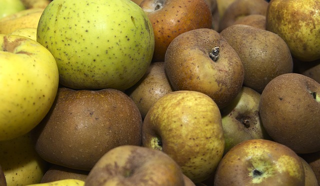 복부 초음파로 알 수 있는 것 3