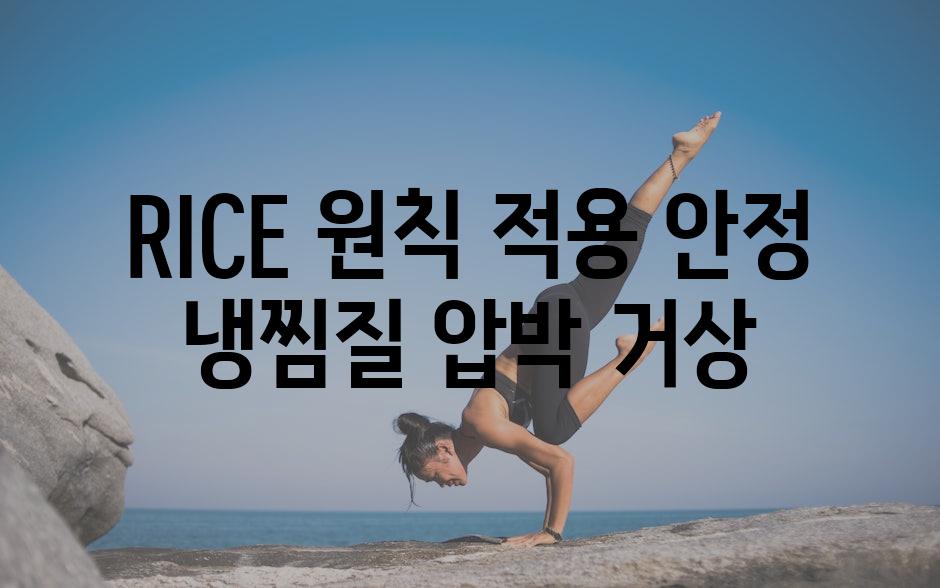 RICE 원칙 적용 안정 냉찜질 압박 거상