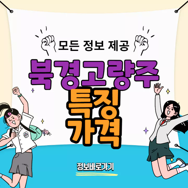 북경고량주-특징-및-가격
