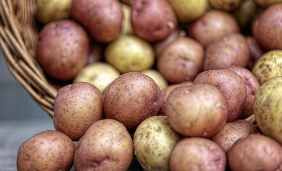 어글리어스 가격 옥자연 빵집 못난이채소 구독서비스