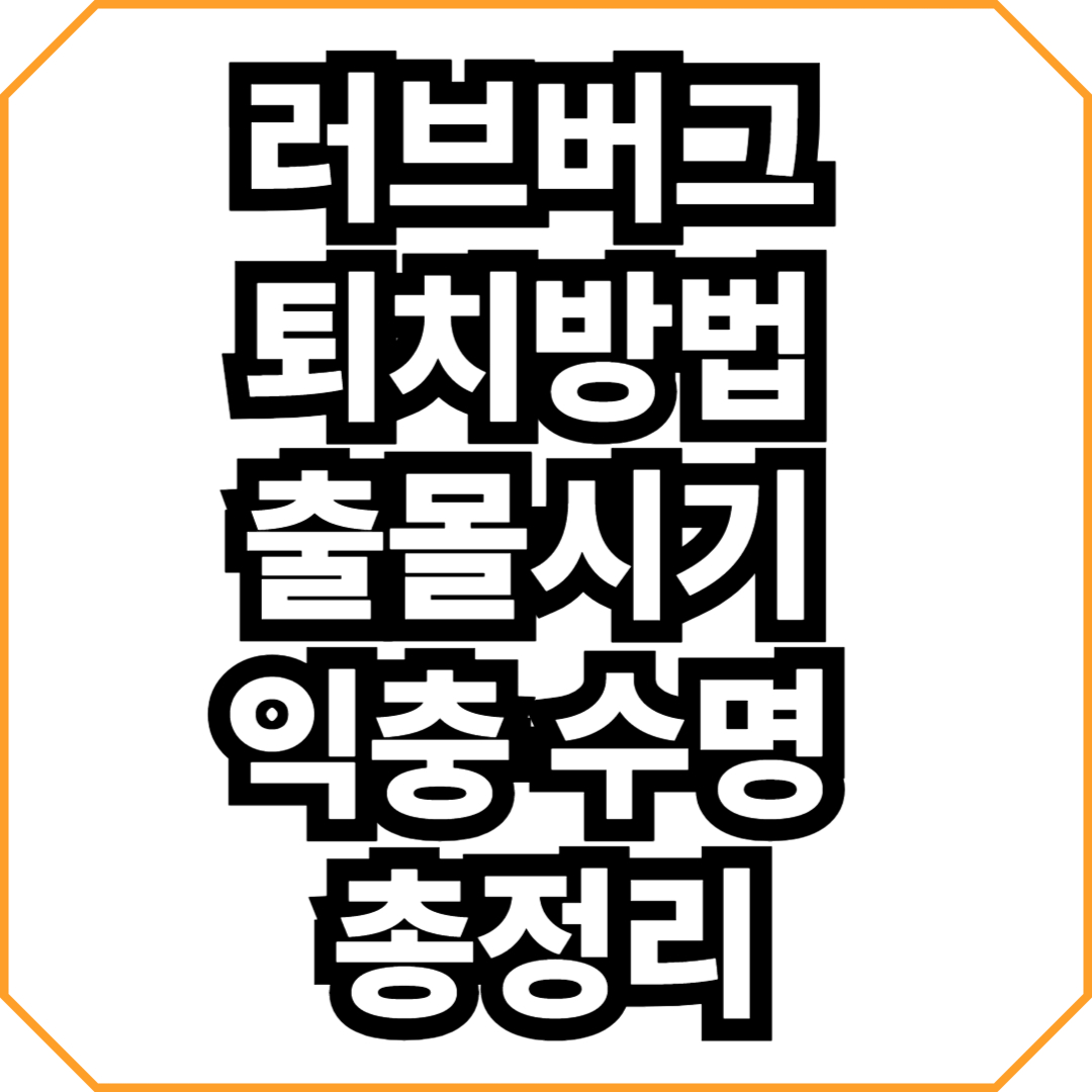 러브버그 퇴치방법 출몰시기 익충 수명 총정리