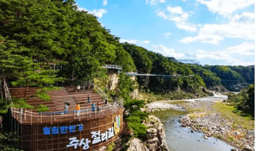 가을단풍 단풍버스 당일여행