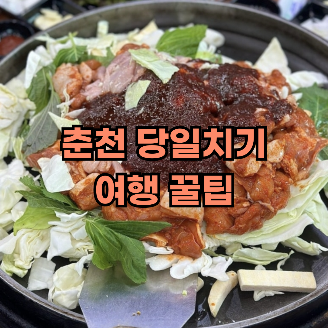 춘천 당일치기 여행