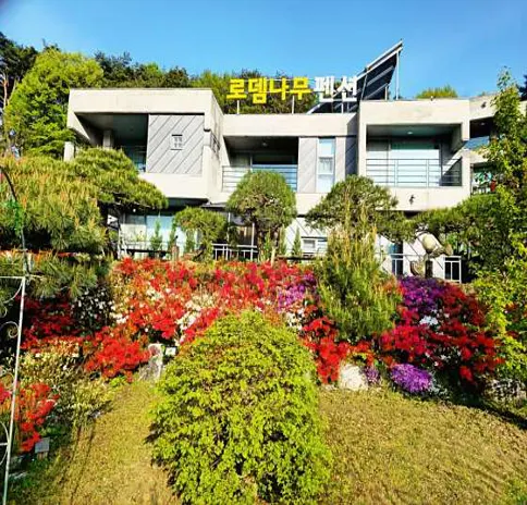 동학사로뎀나무펜션
