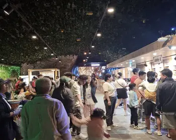 무주 반딧불이 축제12