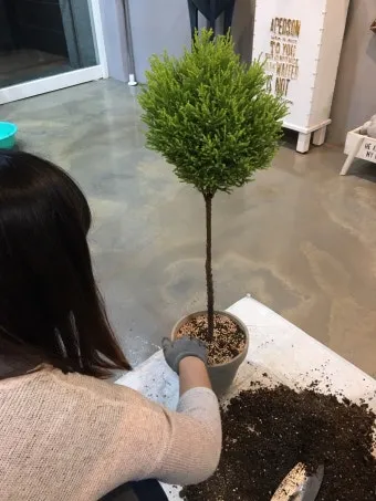 토양 개량 방법 유기물 석회 훈탄 염류집적 해결_21