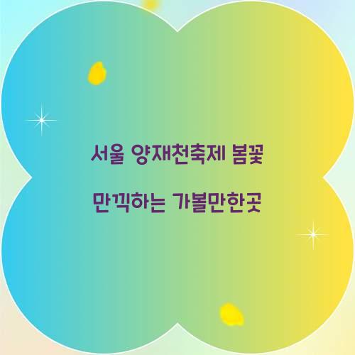 서울 양재천축제