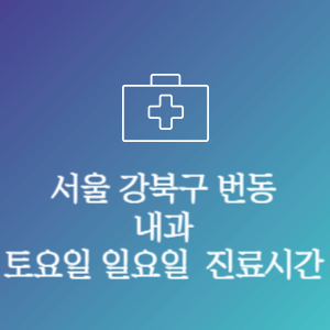 서울 강북구 번동 내과 주말 토요일 일요일 문여는 병원 진료시간