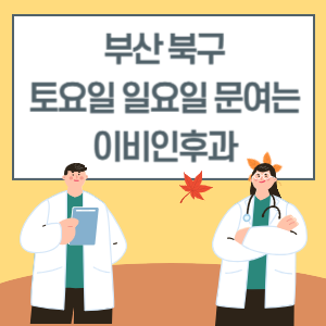 부산 북구 토요일 일요일 이비인후과 진료 병원 리스트
