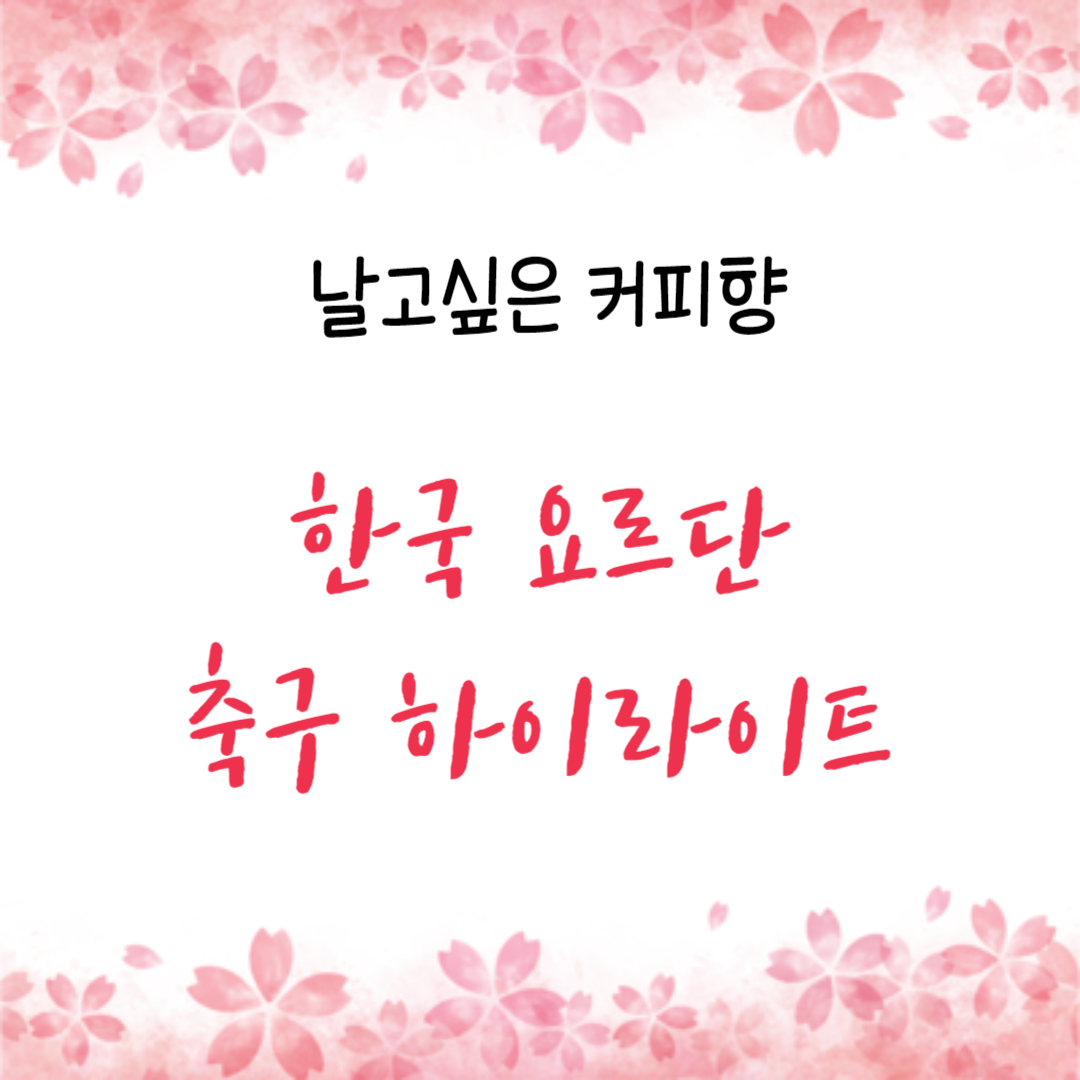 한국 요르단 축구 하이라이트 보기