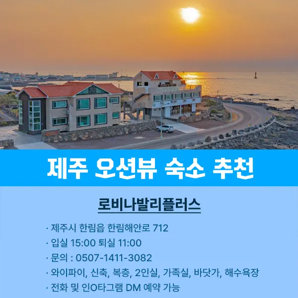 제주 오션뷰 숙소