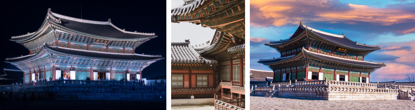 현장 관람 팁과 주의사항