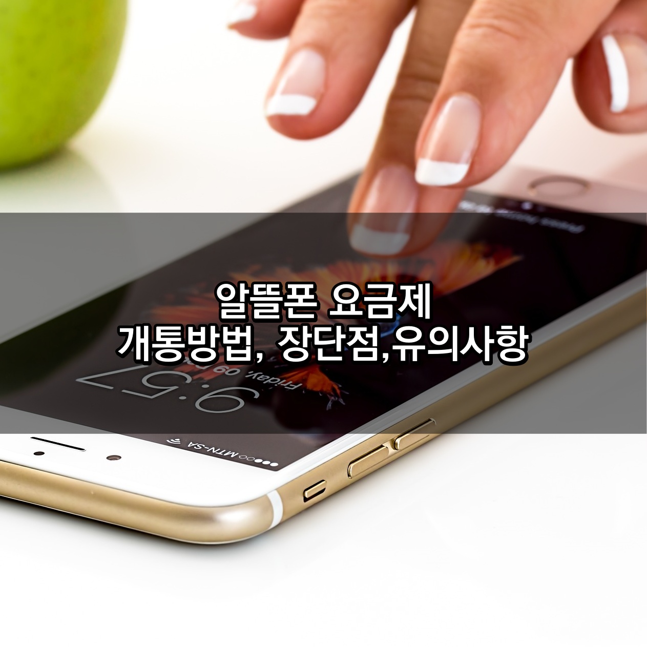 알뜰폰 요금제