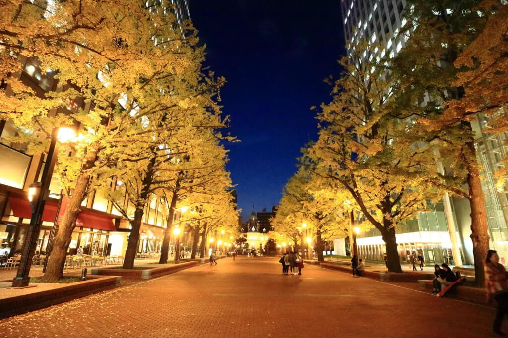 아카렌가-테라스-1