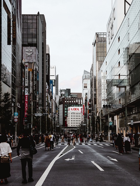 신도시 개발과 부동산 투자 기회 분석