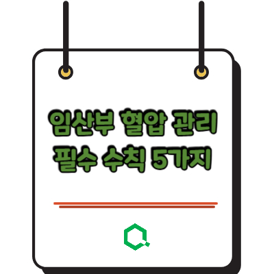 임산부 혈압 관리 필수 수칙 5가지 — 산모와 태아를 지키는 첫걸음