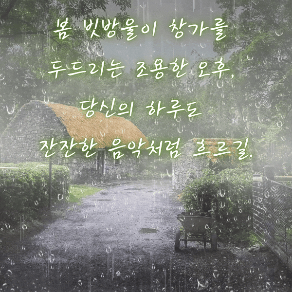 봄비 인사말 비오는 날 인사말 문구 이미지 모음