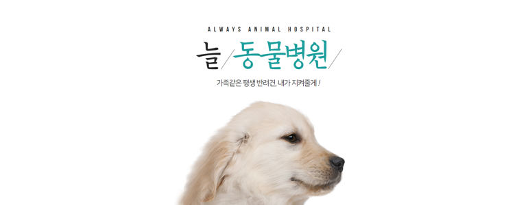 대전 중구 동물병원