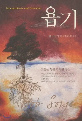 욥기 줄거리 역사적 배경 주제 해석_2