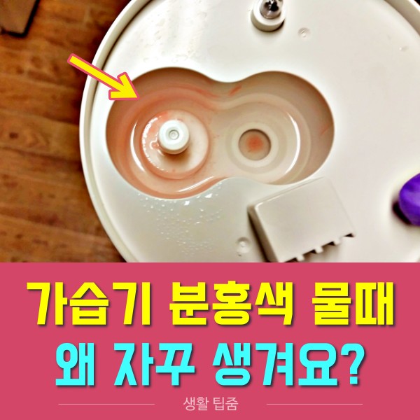 가습기 분홍색 물때 욕실 붉은색 물때 세라티아 마르세센스 세면대 물컵, 생활 건강 팁줌 매일꿀정보