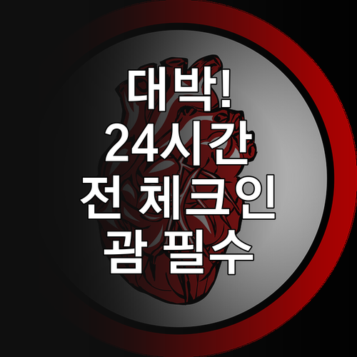 중화항공 미국 괌 노선은 24시간 전..