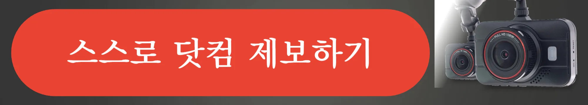 스스로닷컴-제보하기