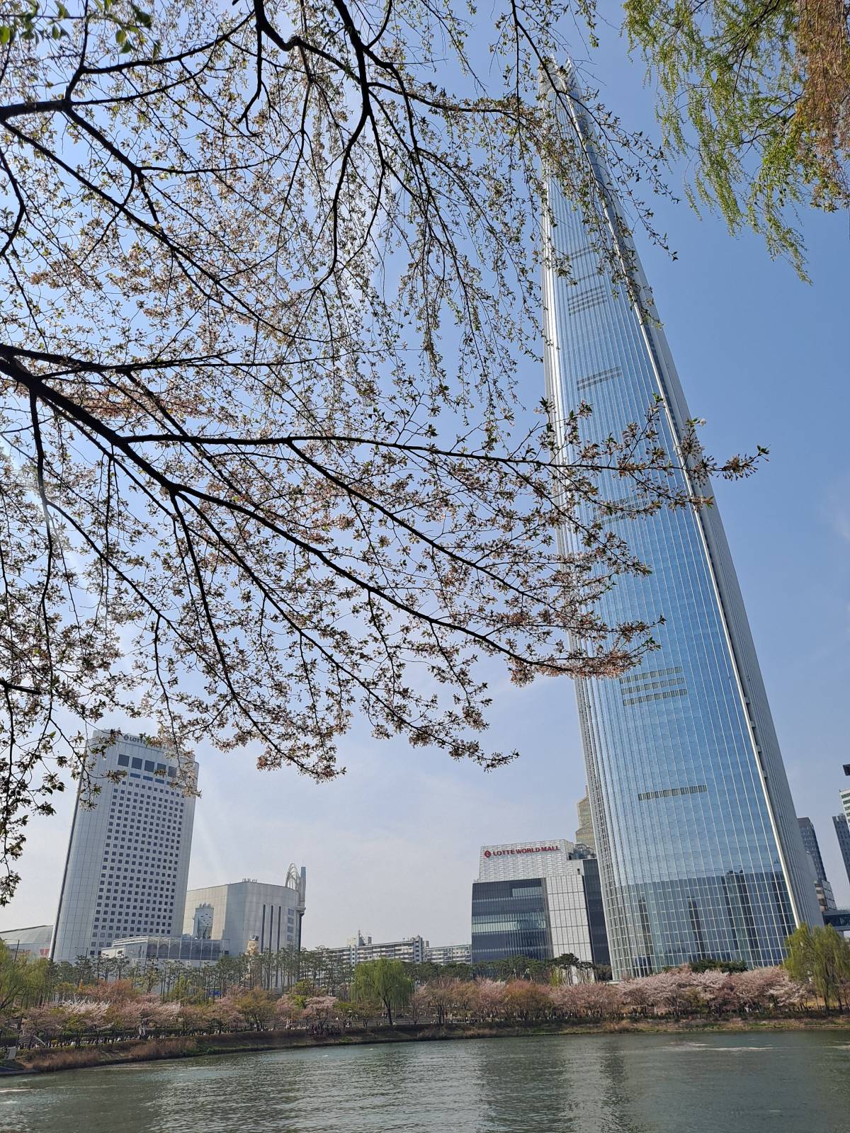 동호 건너편 롯데월드 두건물