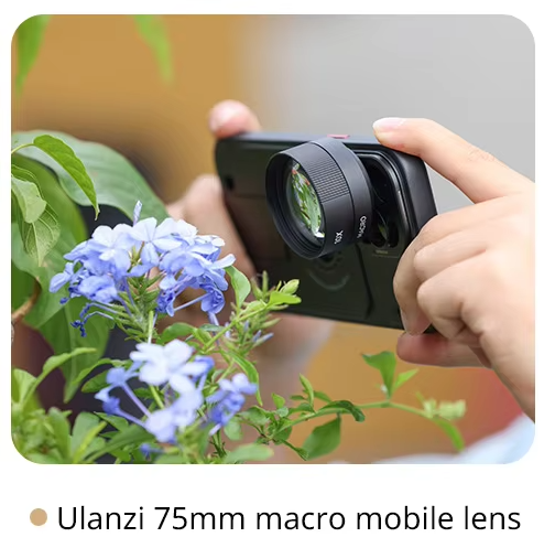 알리익스프레스 찐 가성비 추천템