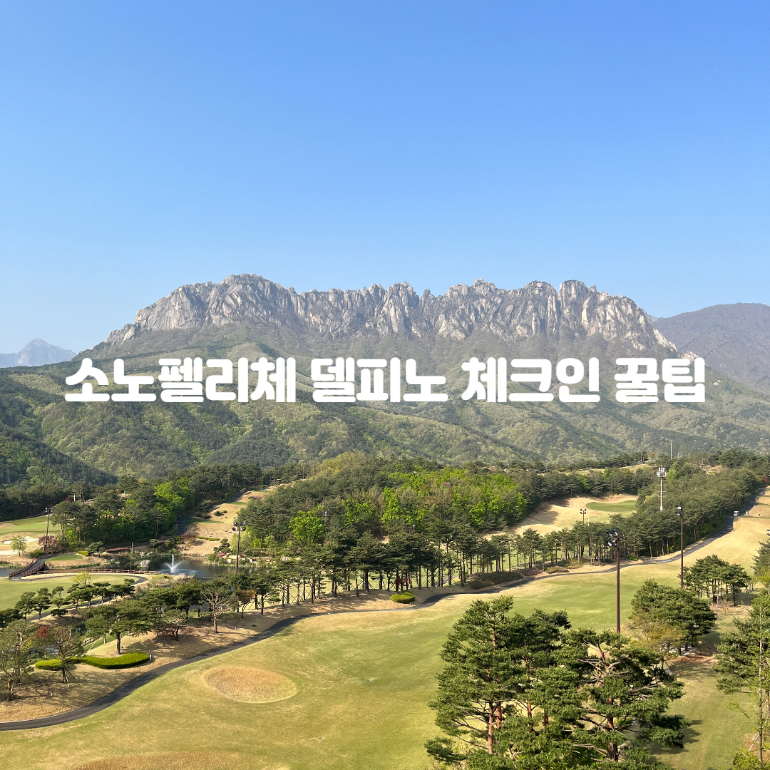 고성-소노펠리체-델피노