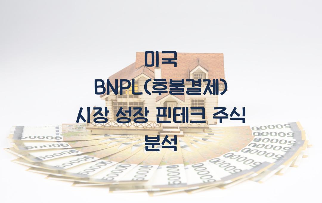미국 BNPL(후불결제) 시장 성장! 관련 핀테크 주식 추천