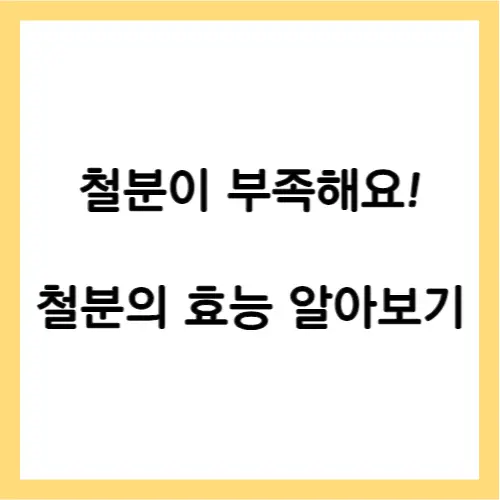 철분의 효능