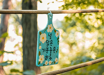 원주 동화마을수목원