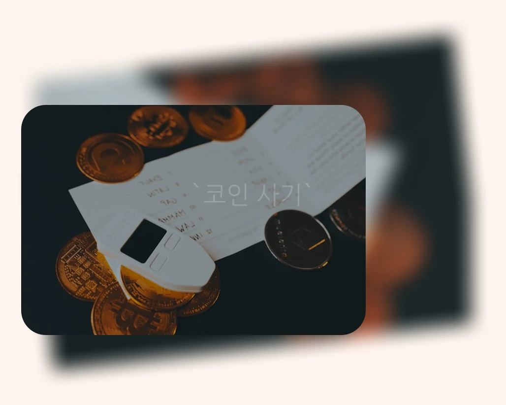 코인 사기_2_subsection