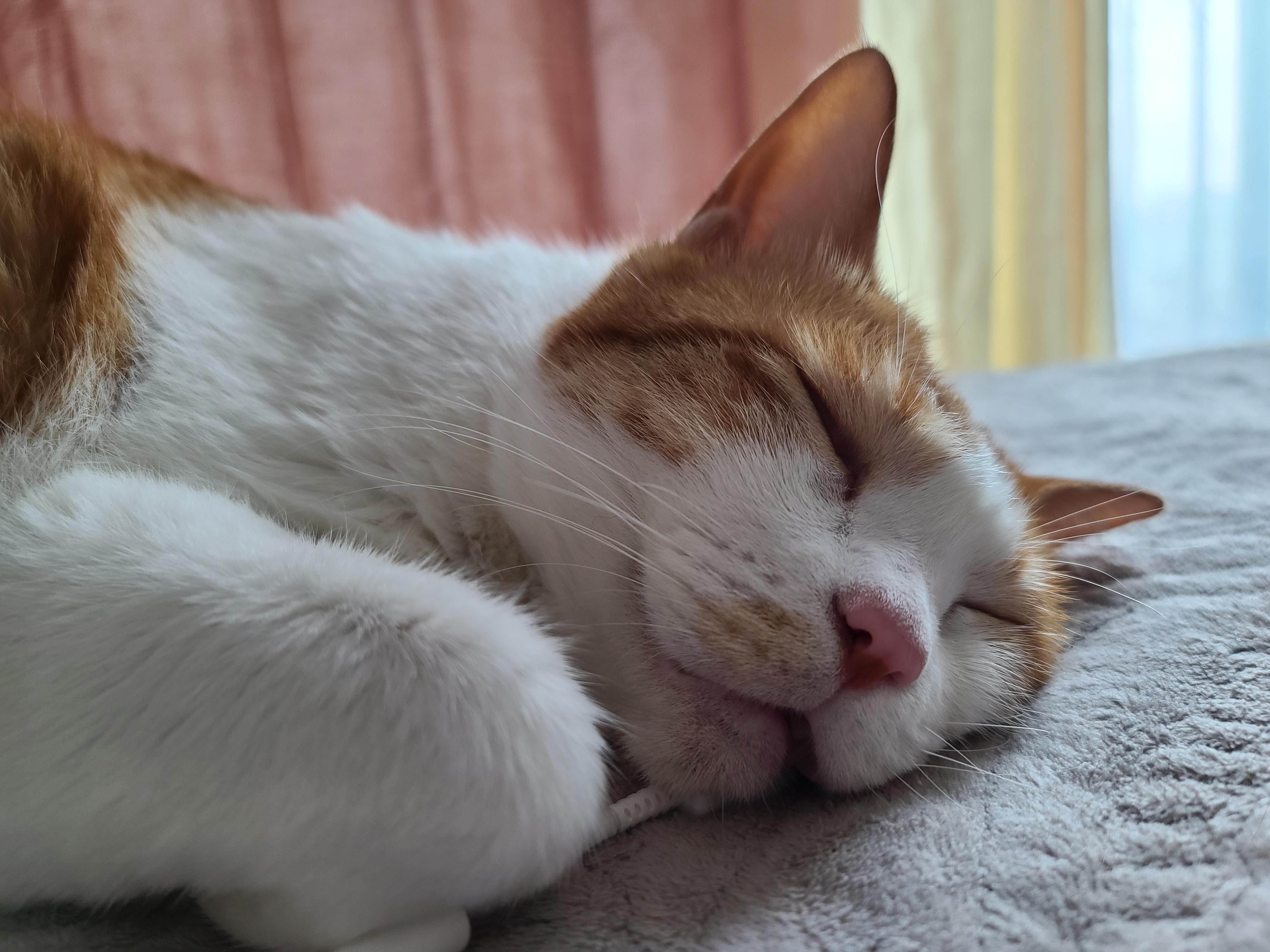 힘든 월요일은 막둥이의 귀여움으로 극복!