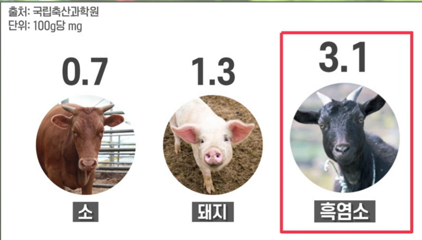 흑염소 진액 효능