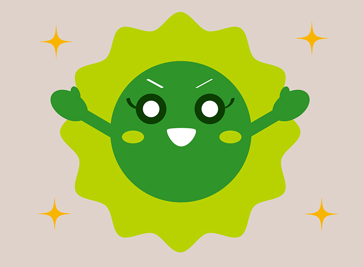 항산화-작용-및-염증-억제