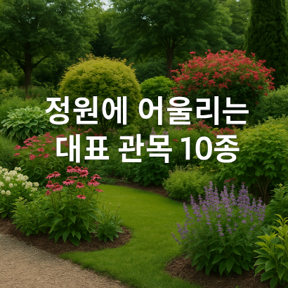[정원가꾸기_실전편] 정원에 어울리는 대표 관목 10종, 사계절 아름다운 정원의 핵심 식물 가이드