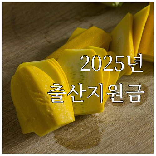 2025 안양시 만안구 임신축하금, ..