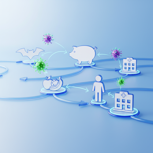 숨어있는 위협: 니파바이러스의 주요 감염 경로