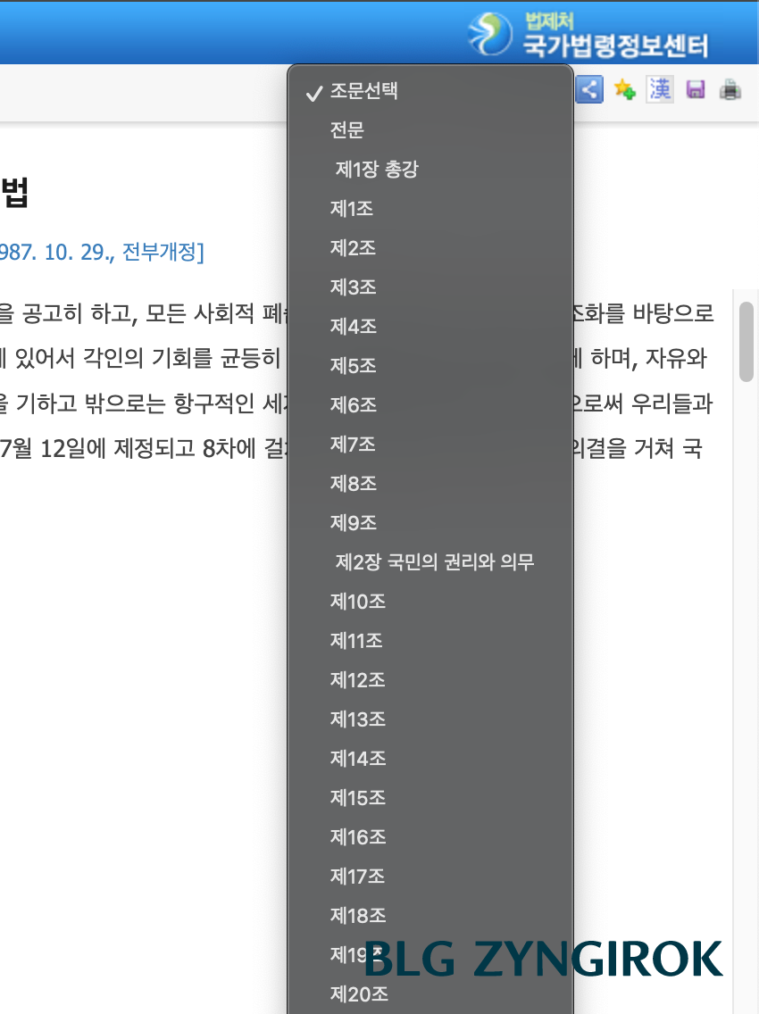 헌법 조문 조회하기 모습이다.