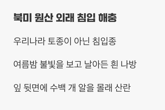 멀리서 날아온 불청객의 정체