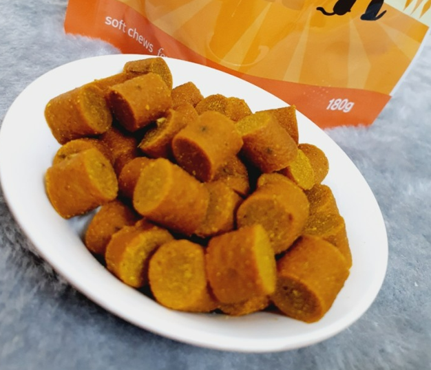 강아지 녹내장 증상, 수술 필수인가? 예방 및 치료법 한 번에 정리