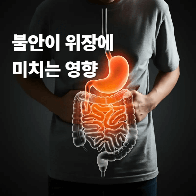 불안이 위장에 미치는 영향
