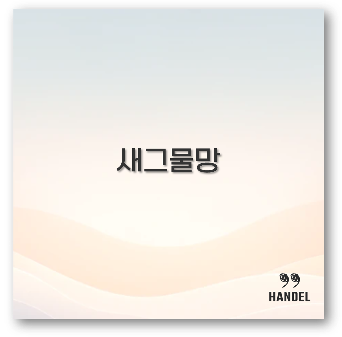 새그물망