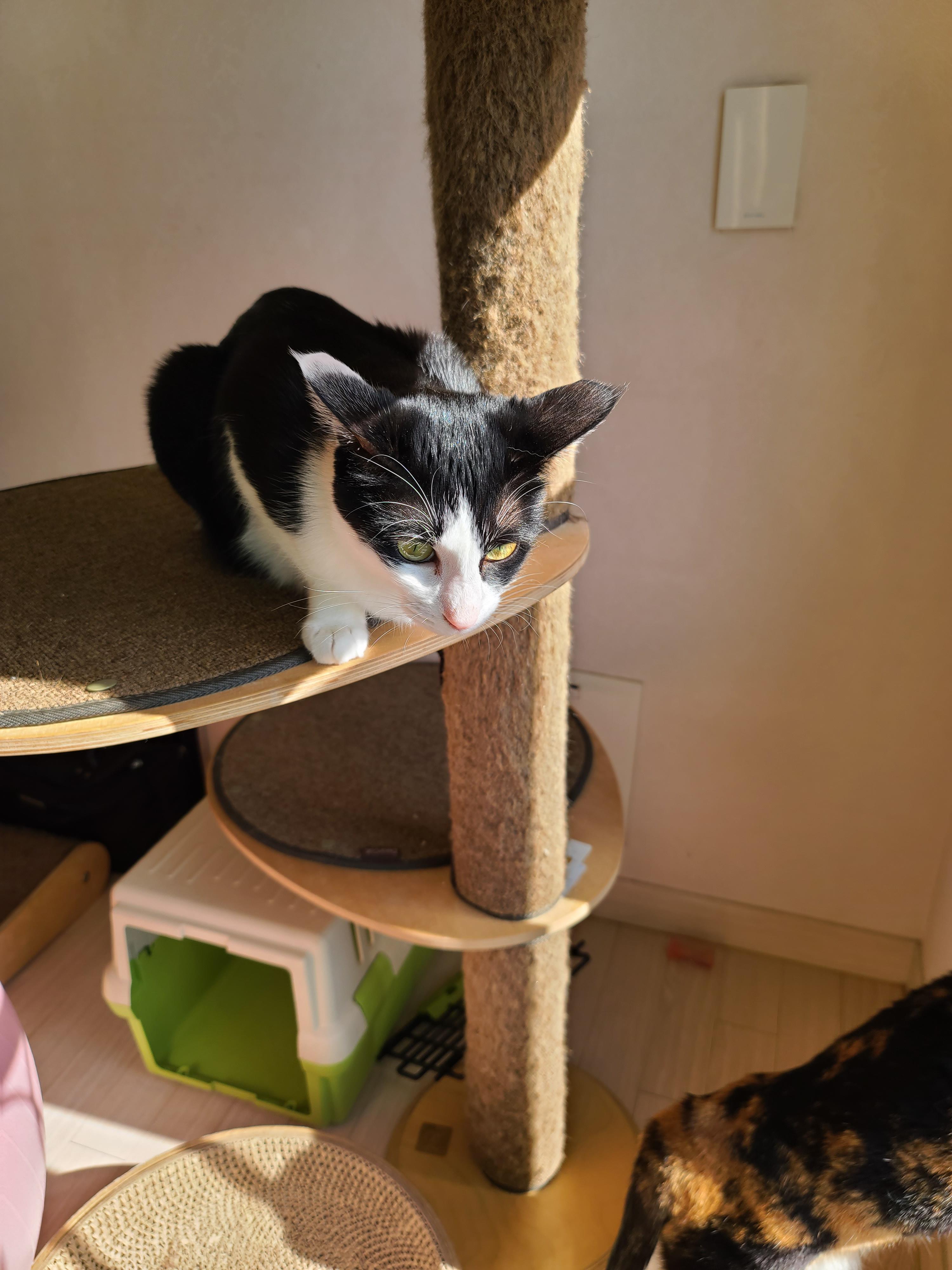 비온 다음날엔 창틀청소지