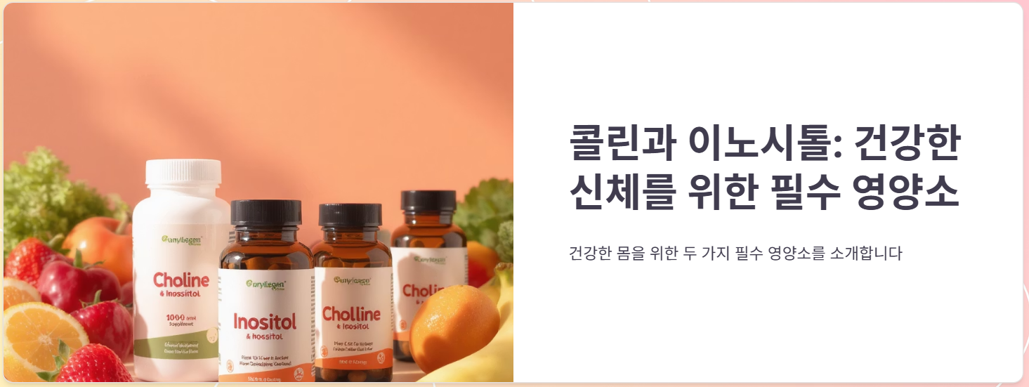 콜린 이노시톨 효능, 복용법, 부작용, 권장량 총정리!