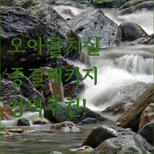 물치실 추천 오아 클린이워터B 포터블..